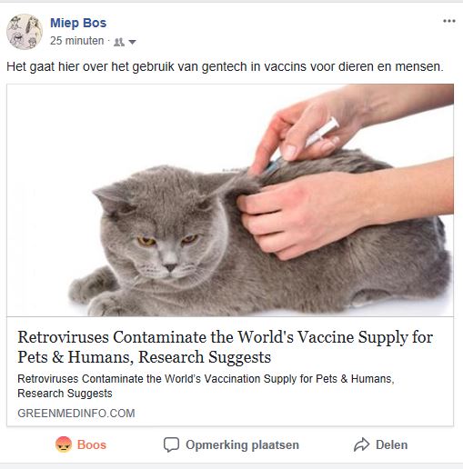 Ji gentech vaccins voor katten veroorzaakt waarschijnlijk ziekten